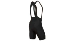 Pearl Izumi Expedition Pro Bib Shorts - Men's