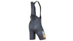 Pearl Izumi X The Landmark Project Men's Expedition Bib Shorts - Men's
